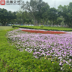 嗯嗯嗯嗯啊啊啊啊啊
